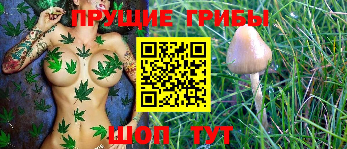Богородск  Галлюциногенные грибы Magic Shrooms  Вход с VPN 